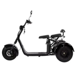 iGlide Electric Trike